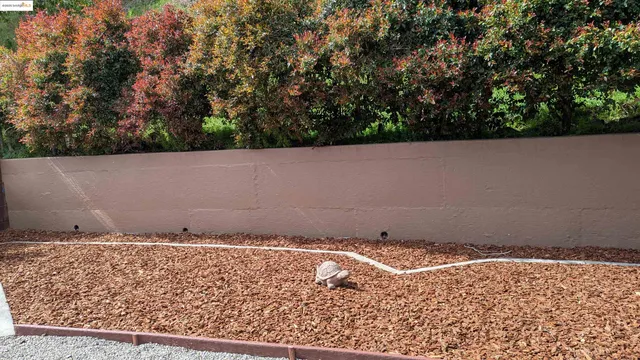 $5,300 | Sequoyah Highlands, Oakland, CA 94605