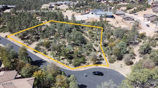 an aerial view of swimming pool