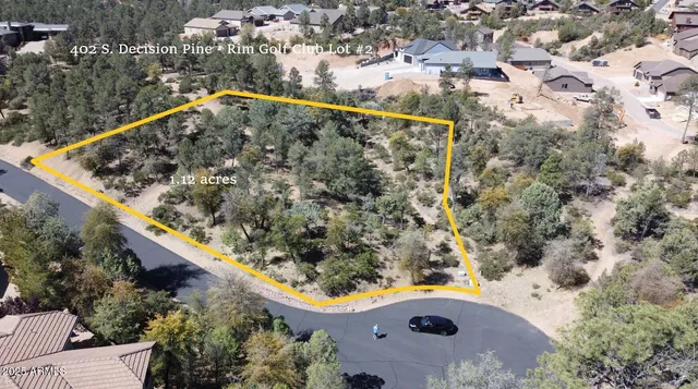 an aerial view of swimming pool