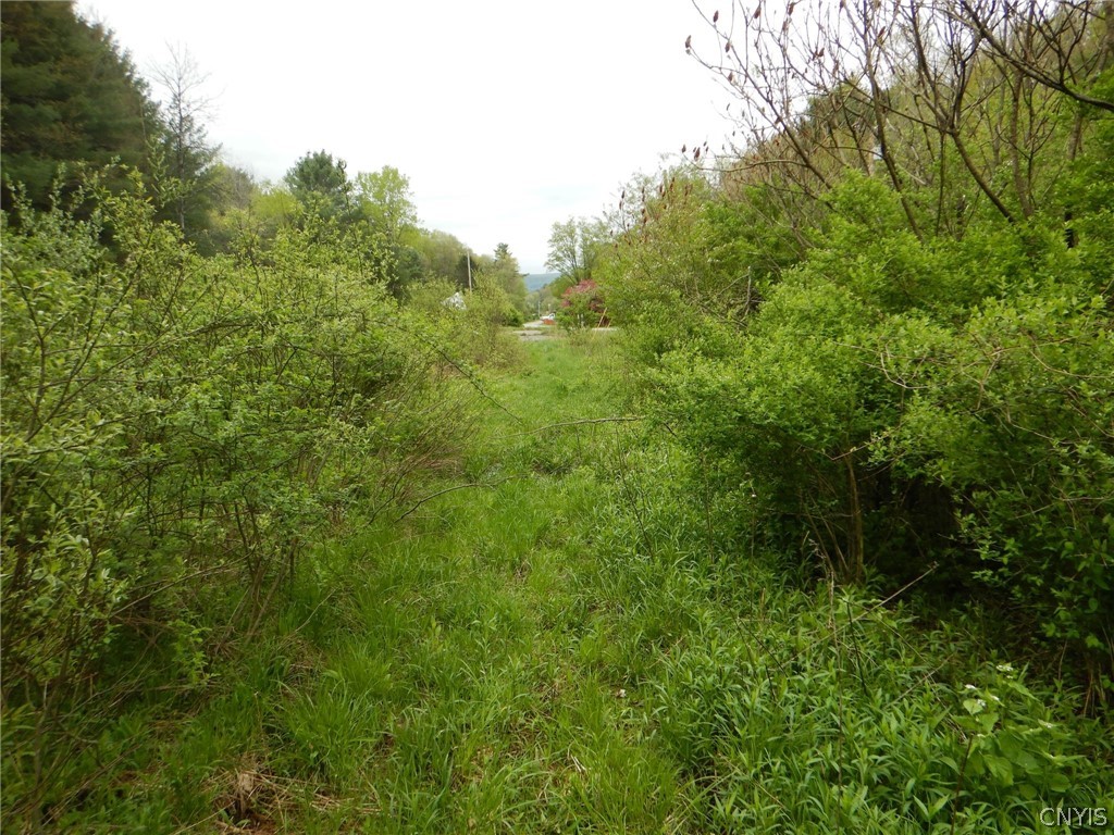 Wightman Road Wellsville, NY 14895 - Photo 16 of 45