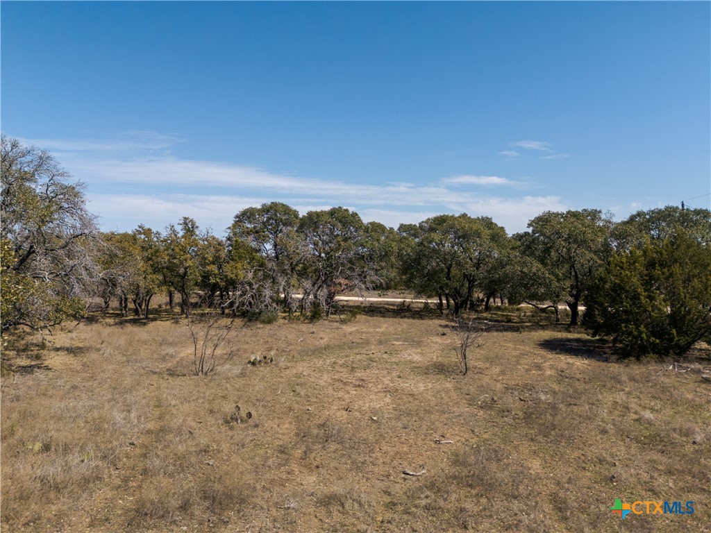 Tbd Tbd Drive Lampasas, TX 76550 - Photo 3 of 22 a view of a dry yard with trees
