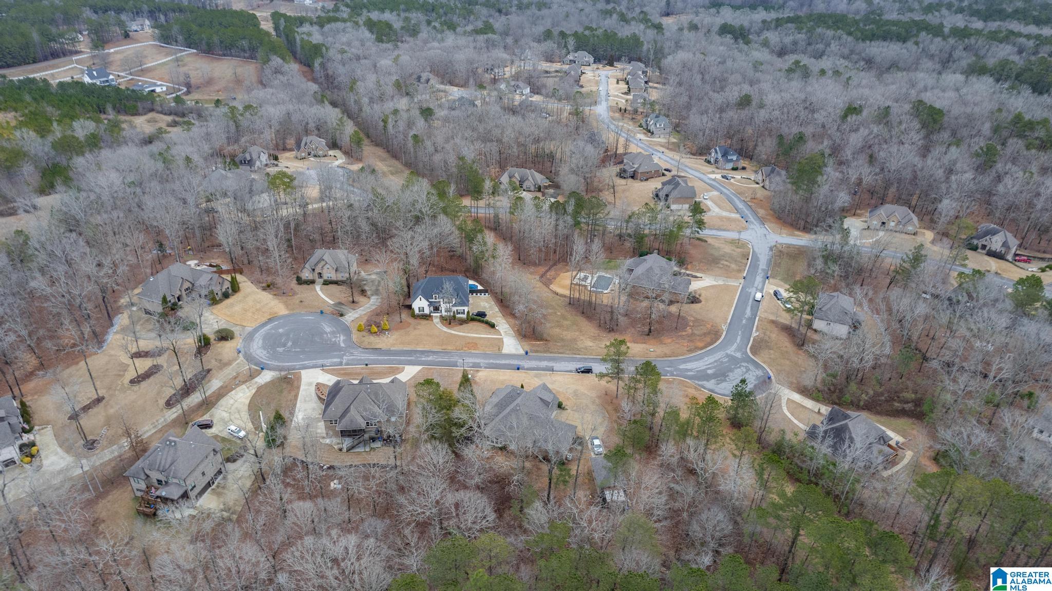 147 Highland Ridge Drive Chelsea, AL 35043 - Photo 57 of 58