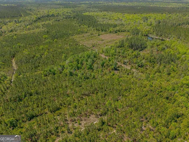a view of an ocean from a yard
