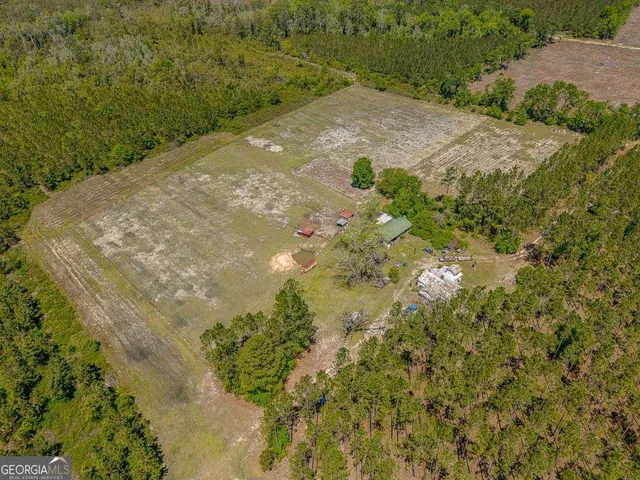 a view of a yard with a tree