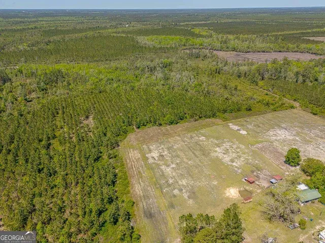 $935,000 | 88 Minnesota Road, Screven, GA 31560