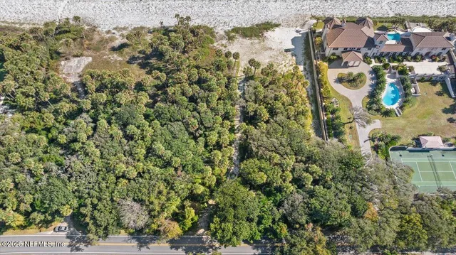 a view of a yard with a tree