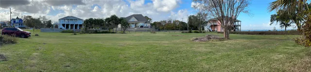 a view of a park that has a tree in front of it