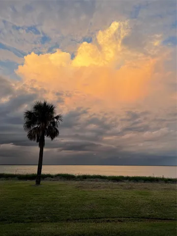 a view of swimming pool from a yard