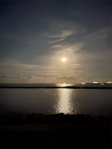 a view of a lake from a yard
