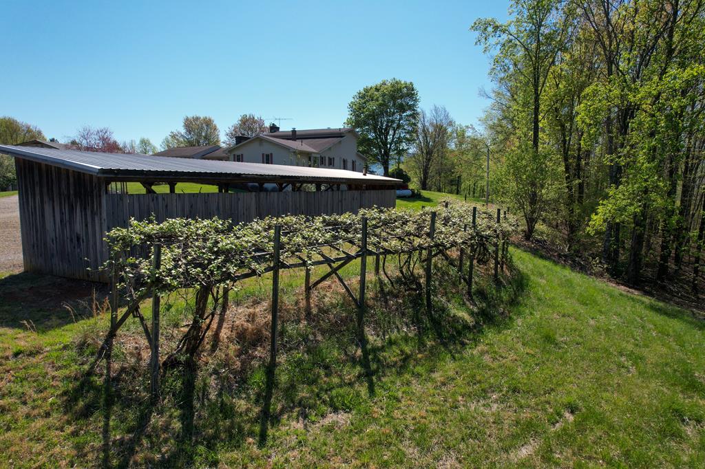 4868 Woolwine Highway Stuart, VA 24171 - Photo 7 of 51 Gallery Image 7