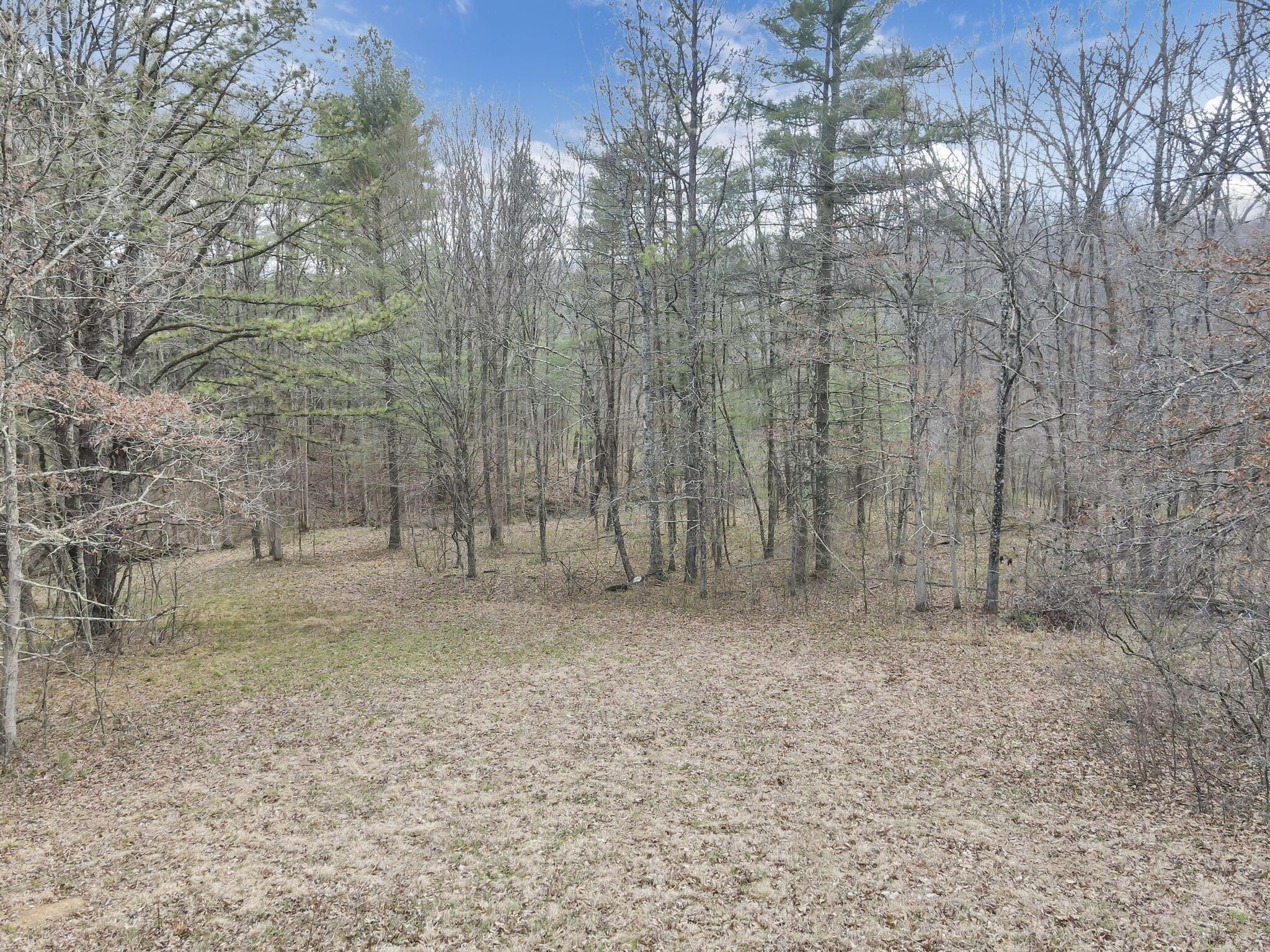 11135 Salem Road Athens, OH 45701 - Photo 69 of 90 69-web-or-mls-DJI_0374