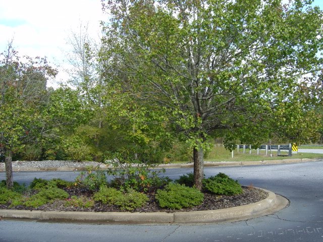 4-lots Bay Ridge, Unit LTS 5 6 13 & 14 BAY RIDGE Salem, SC 29676 - Photo 11 of 11 Gallery Image 11