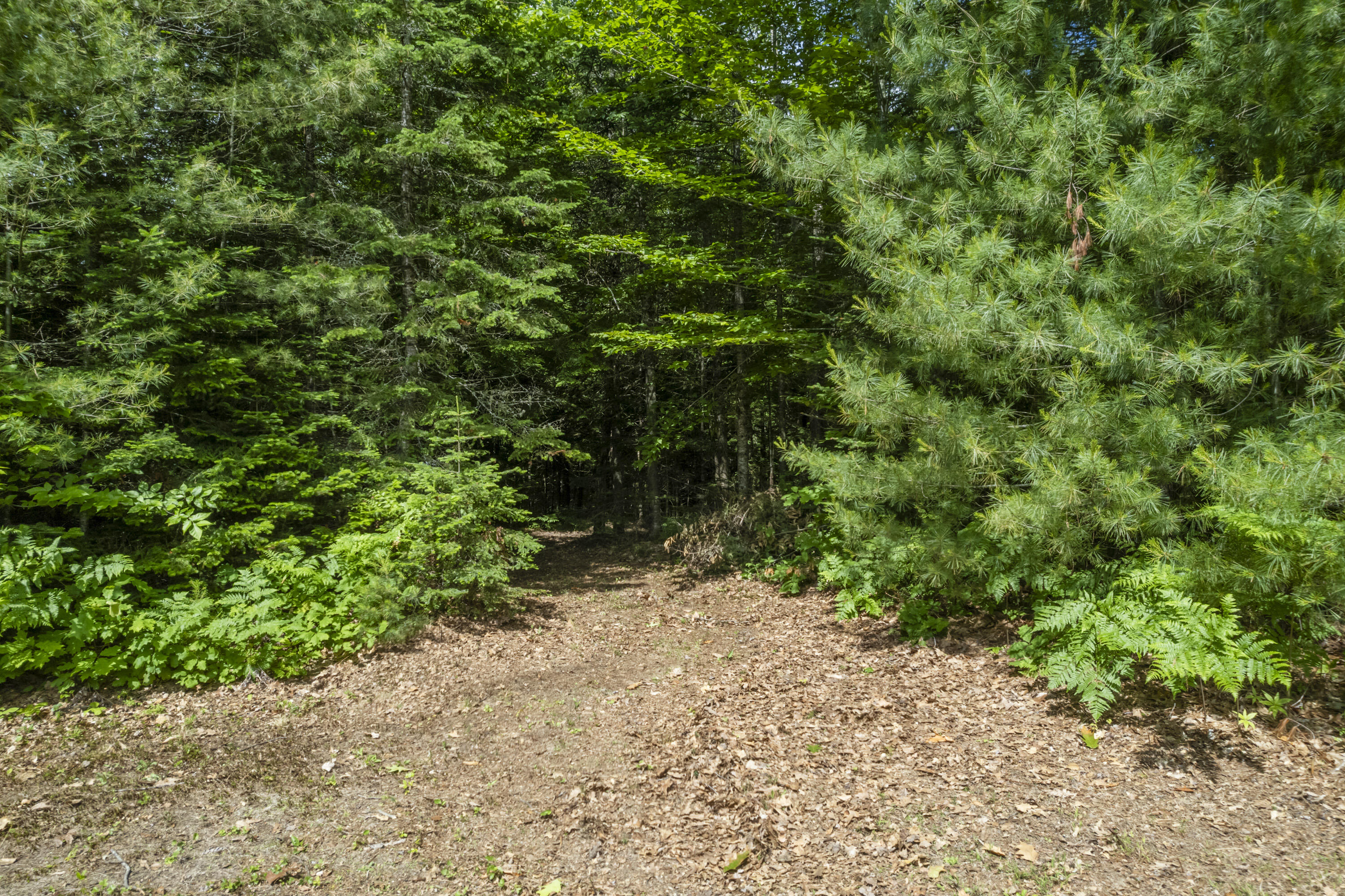 8-3 Turner Street Buckfield, ME 04220 - Photo 20 of 27 Turner St Land, Buckfield_0120