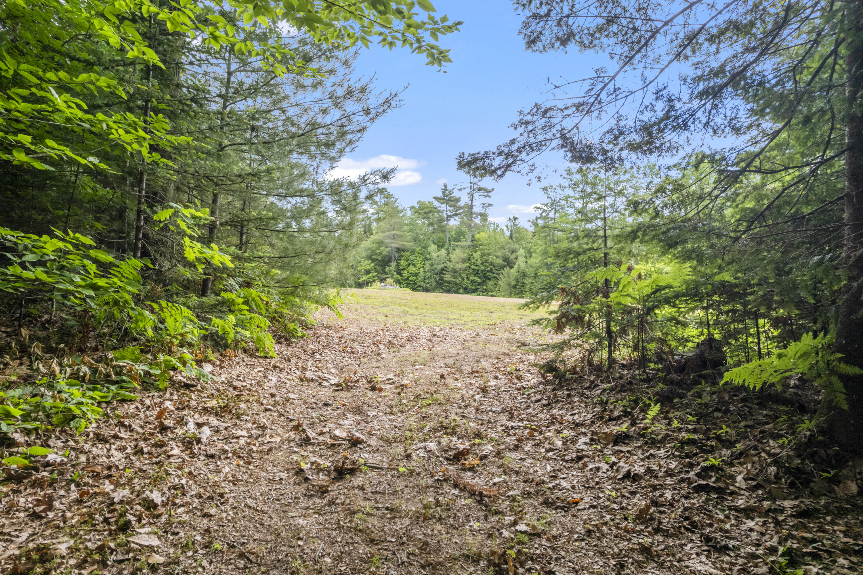8-3 Turner Street Buckfield, ME 04220 - Photo 21 of 27 Turner St Land, Buckfield_0122