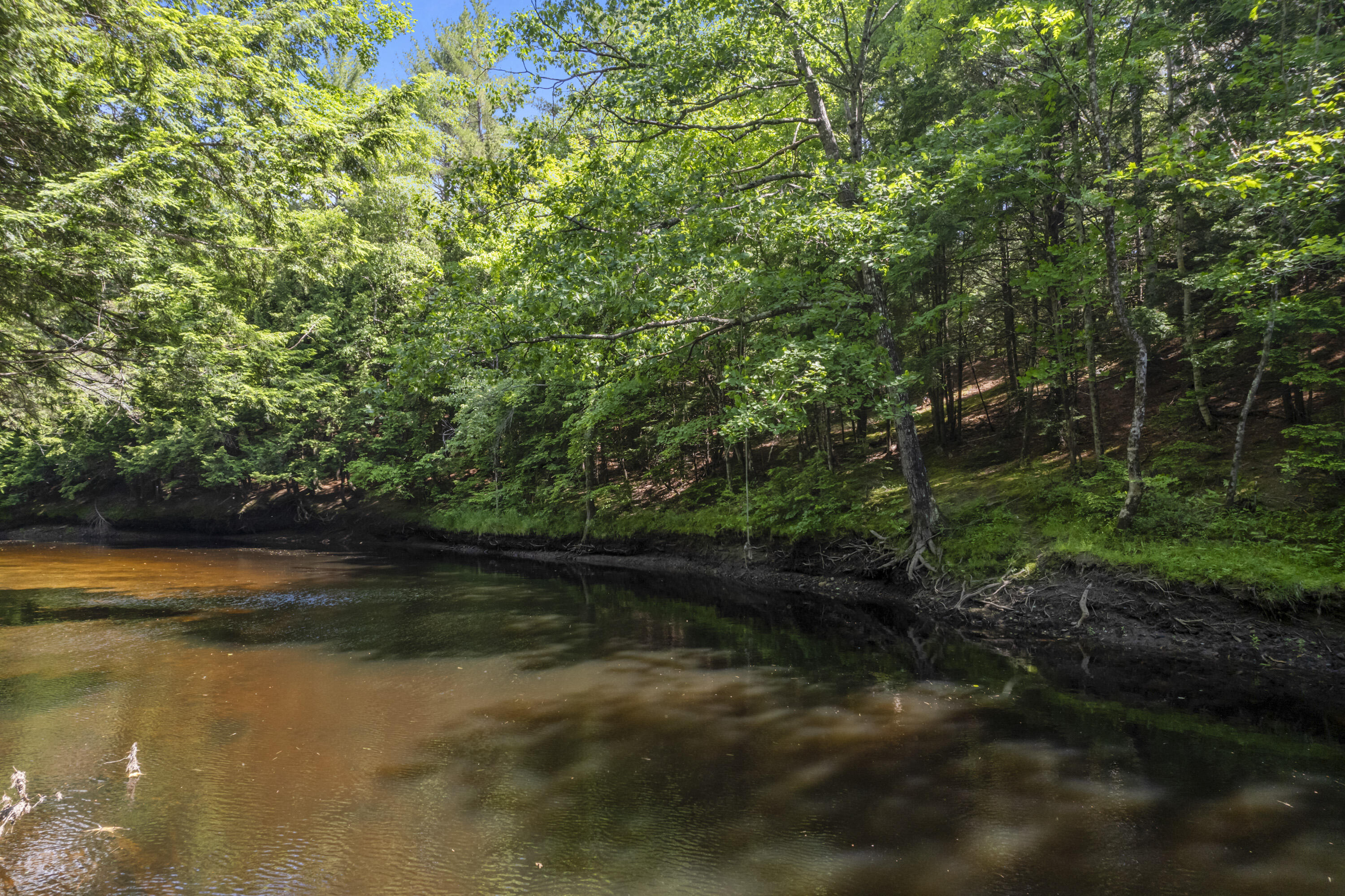 8-3 Turner Street Buckfield, ME 04220 - Photo 5 of 23 Turner St Land, Buckfield_0137