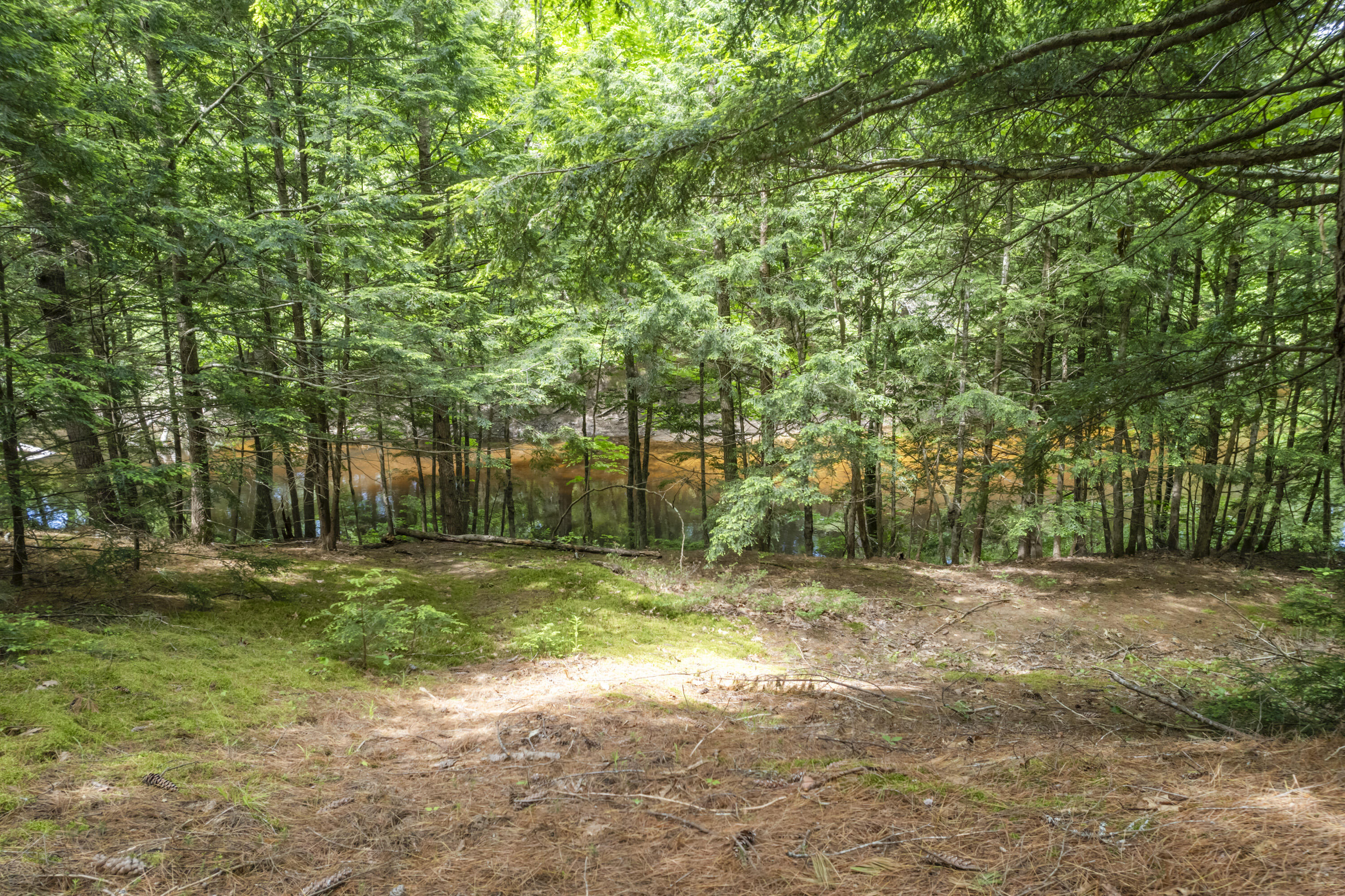8-3 Turner Street Buckfield, ME 04220 - Photo 7 of 27 Turner St Land, Buckfield_0133