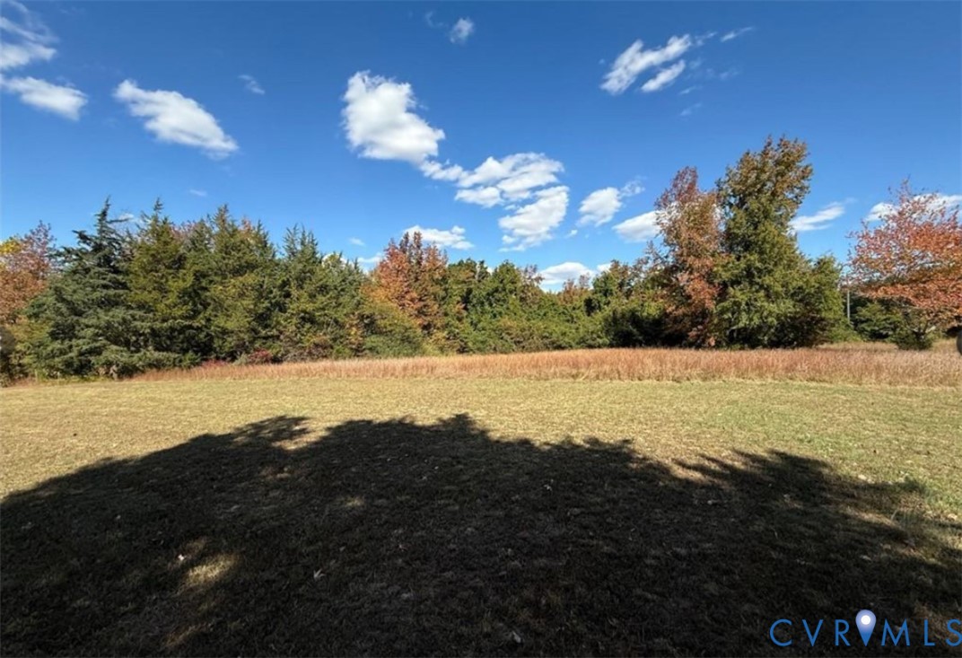 1151 Cartersville Road Cartersville, VA 23027 - Photo 11 of 14 a view of lake and mountain