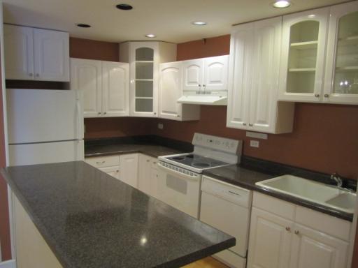 834 East Old Willow Road, Unit 109 Prospect Heights, IL 60070 - Photo 6 of 10 a kitchen with a sink and cabinets