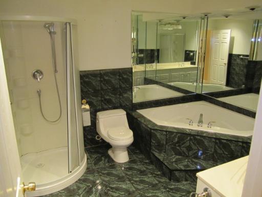 834 East Old Willow Road, Unit 109 Prospect Heights, IL 60070 - Photo 10 of 10 a bathroom with a sink a toilet and shower