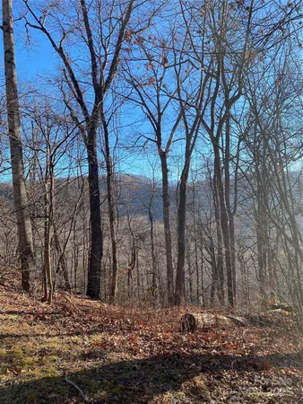 $25,000 | 0 Wash Freeman Road, Hendersonville, NC 28792