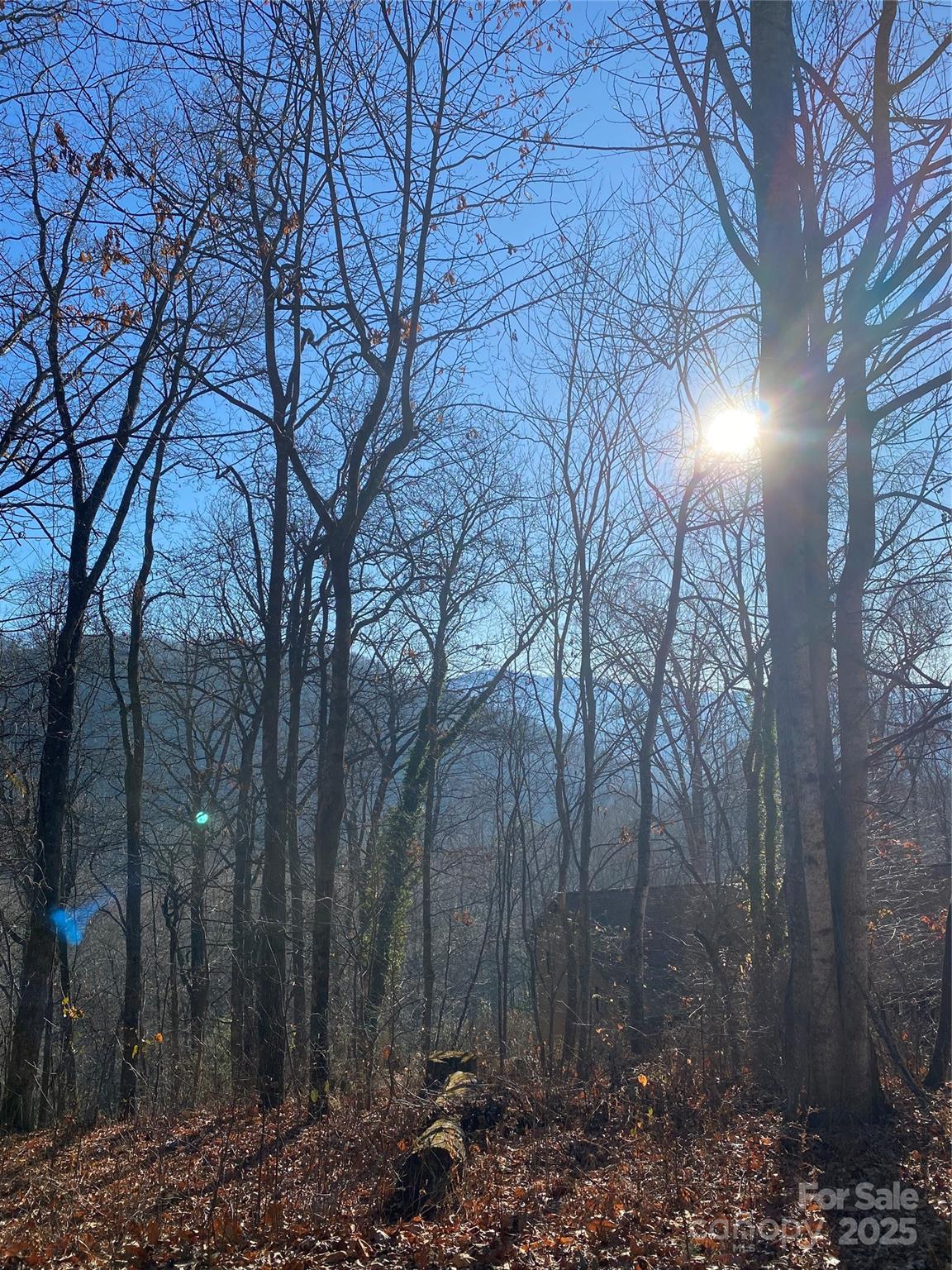 0 Wash Freeman Road Hendersonville, NC 28792 - Photo 2 of 4