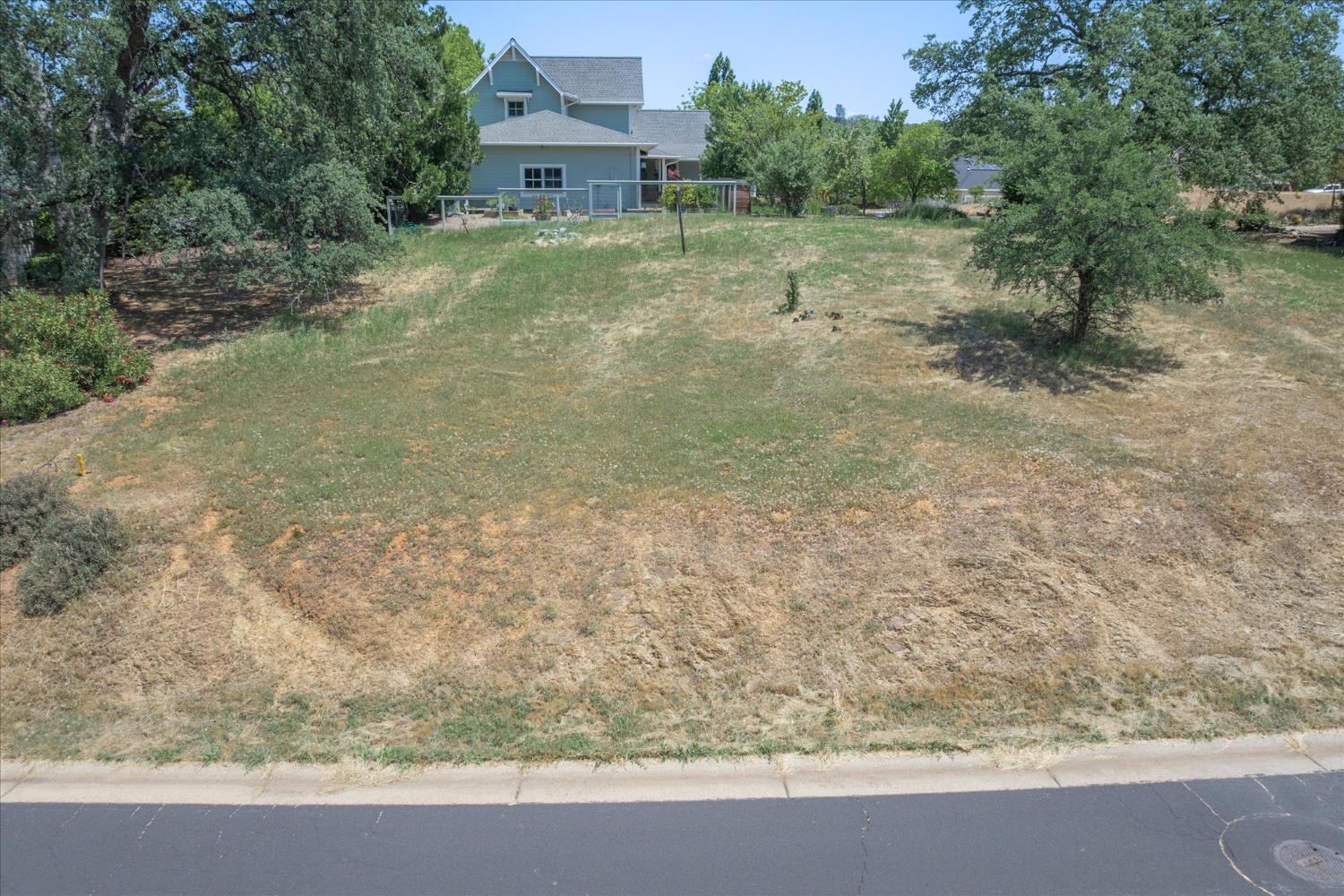 0 Alawa Place Angels Camp, CA 95222 - Photo 8 of 10 a view of a yard with a tree