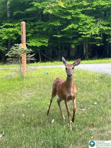 a view of a lake with beach in background
