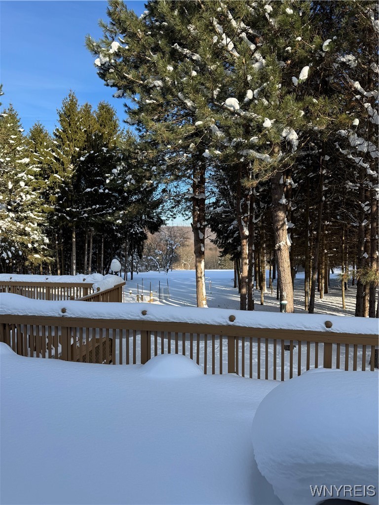 6553 Vermont Hill Road Wales, NY 14139 - Photo 43 of 50 large rear deck