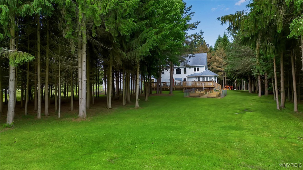 6553 Vermont Hill Road Wales, NY 14139 - Photo 48 of 50 view of 10 acre back yard