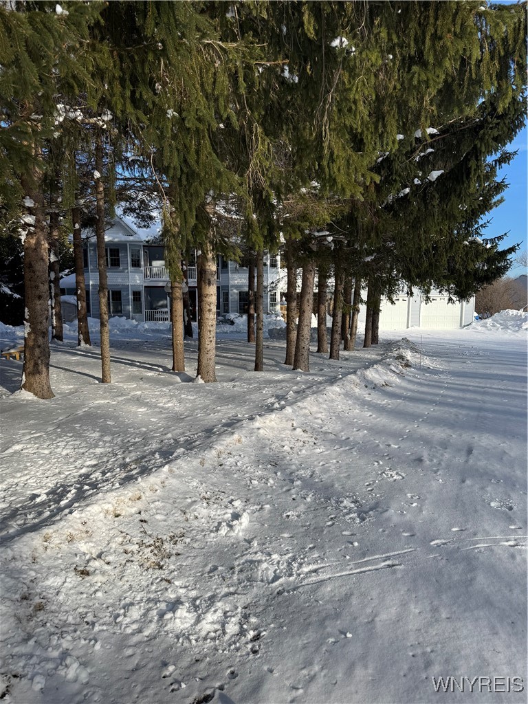 6553 Vermont Hill Road Wales, NY 14139 - Photo 5 of 50 Front of home from half way down the driveway