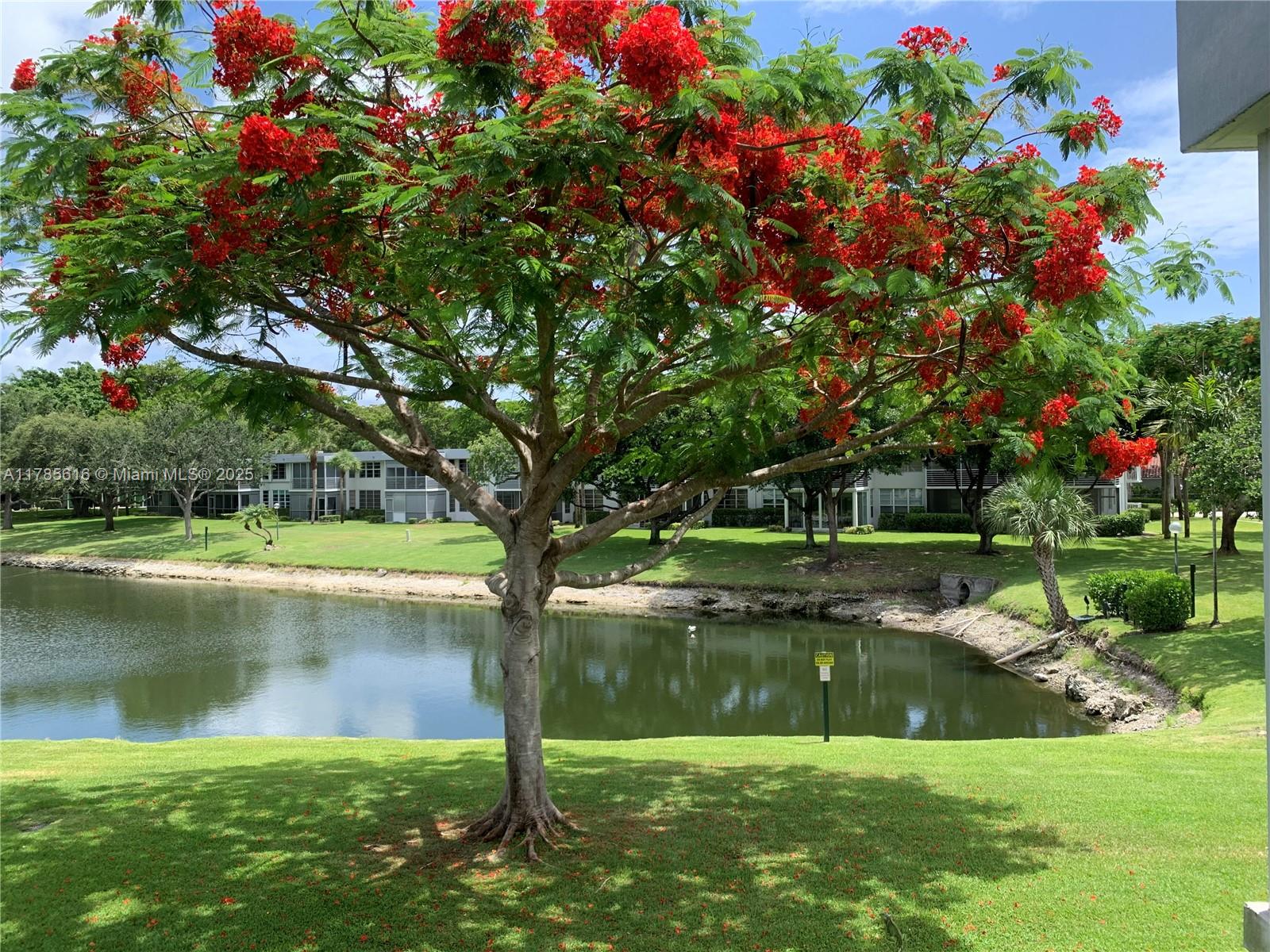 4221 West Palm Aire Drive, Unit 203 Pompano Beach, FL 33069 - Photo 27 of 39 a backyard of a house with swimming pool and green space