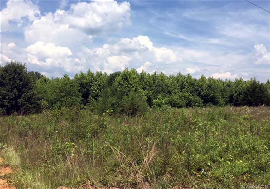 0 Clark Road, Unit 1 Rutherfordton, NC 28139 - Photo 4 of 9 a view of a bunch of trees in a field