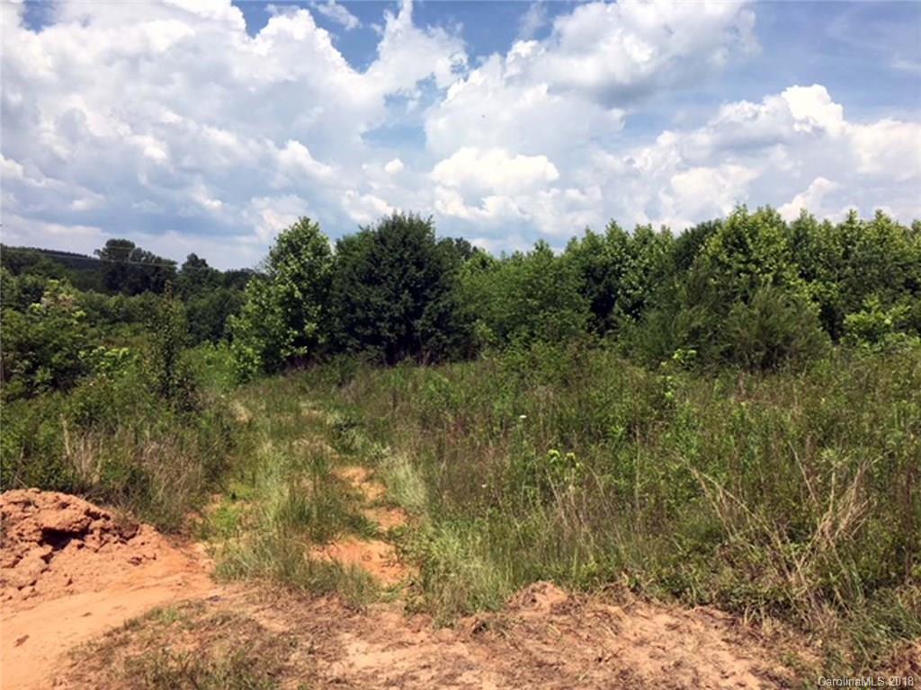 0 Clark Road, Unit 1 Rutherfordton, NC 28139 - Photo 8 of 9 a view of a yard with a tree