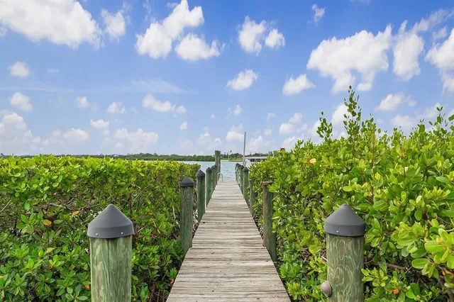 a view of a potted plants in middle of the garden