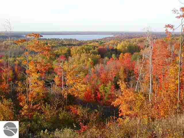 0 Saddle Rdg Drive Grawn, MI 49637 - Photo 1 of 23 1931302.JPG