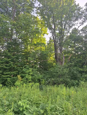$59,000 | 0 14 14 Mile Road, Leroy, MI 49655