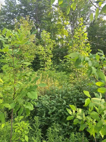 $59,000 | 0 14 14 Mile Road, Leroy, MI 49655