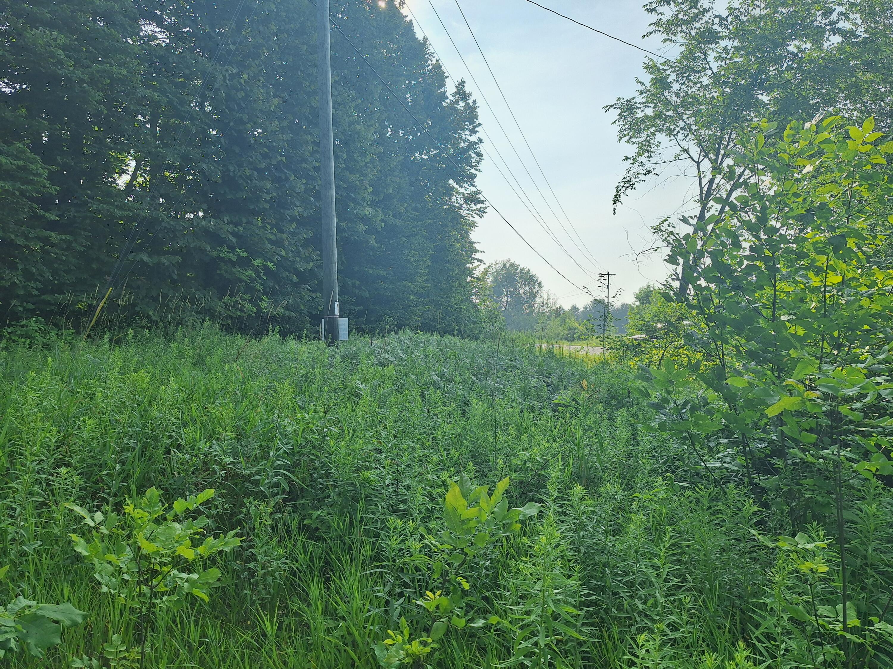 0 14 14 Mile Road Leroy, MI 49655 - Photo 4 of 9 1000013575