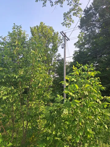 $59,000 | 0 14 14 Mile Road, Leroy, MI 49655