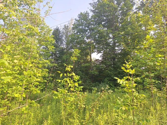 $59,000 | 0 14 14 Mile Road, Leroy, MI 49655