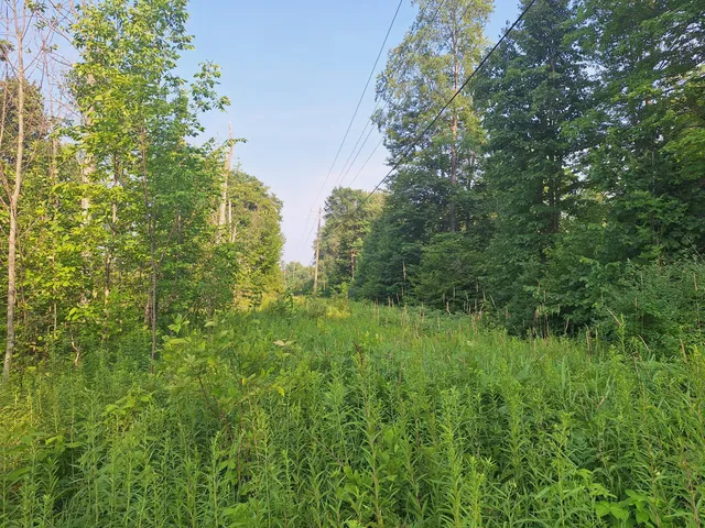 $59,000 | 0 14 14 Mile Road, Leroy, MI 49655