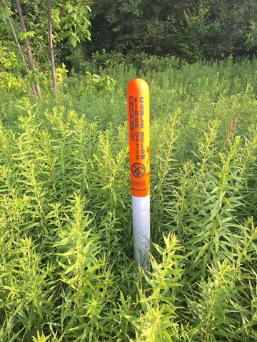 $59,000 | 0 14 14 Mile Road, Leroy, MI 49655