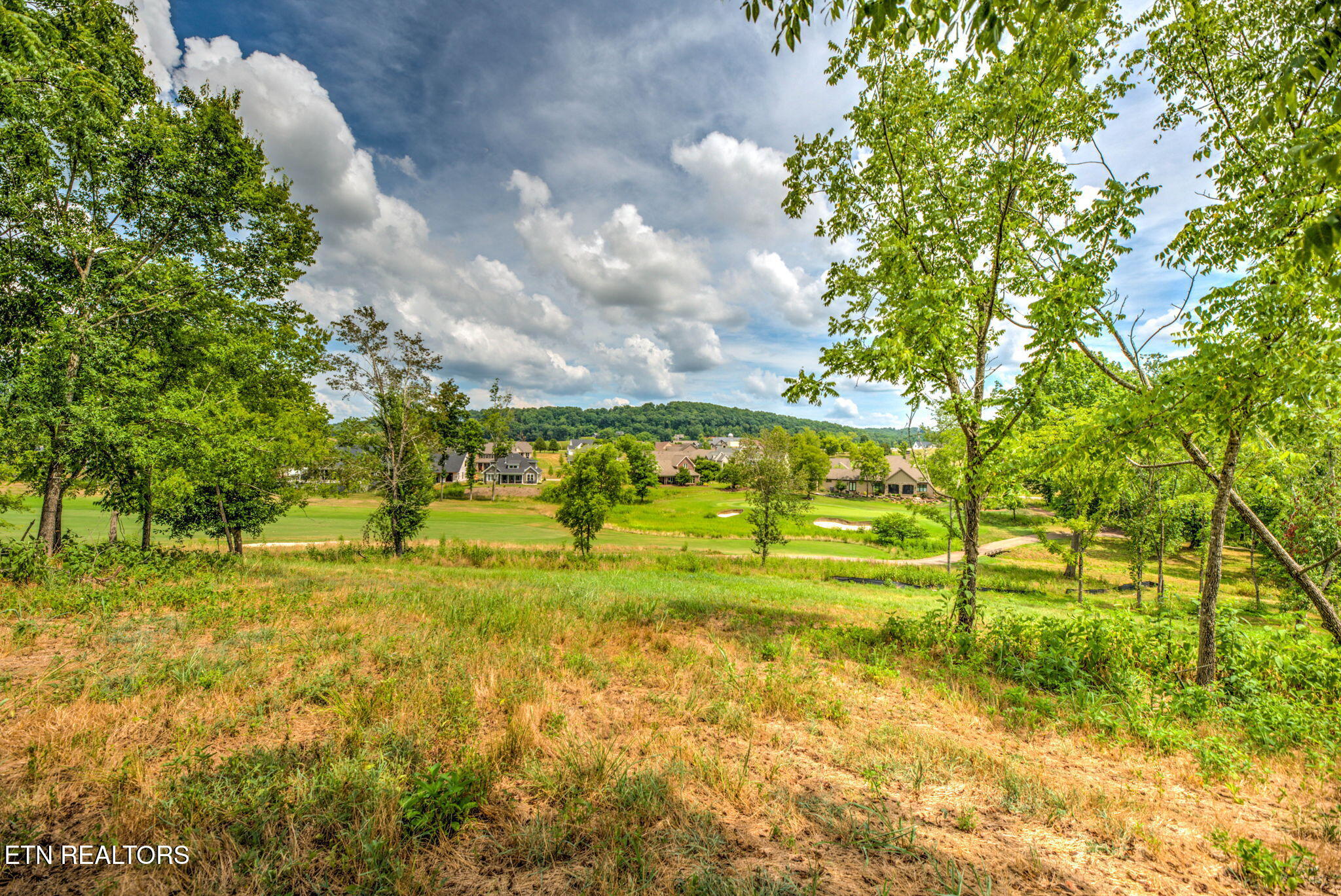 987 Mockingbird Lane Loudon, TN 37774 - Photo 2 of 26 2-web-or-mls-Mckngbrd987 (11)