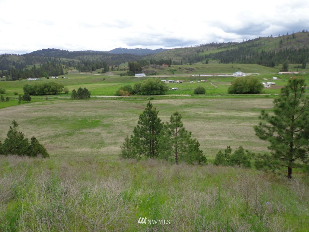 3 Herron Crk Road Republic, WA 99166 - Photo 2 of 8
