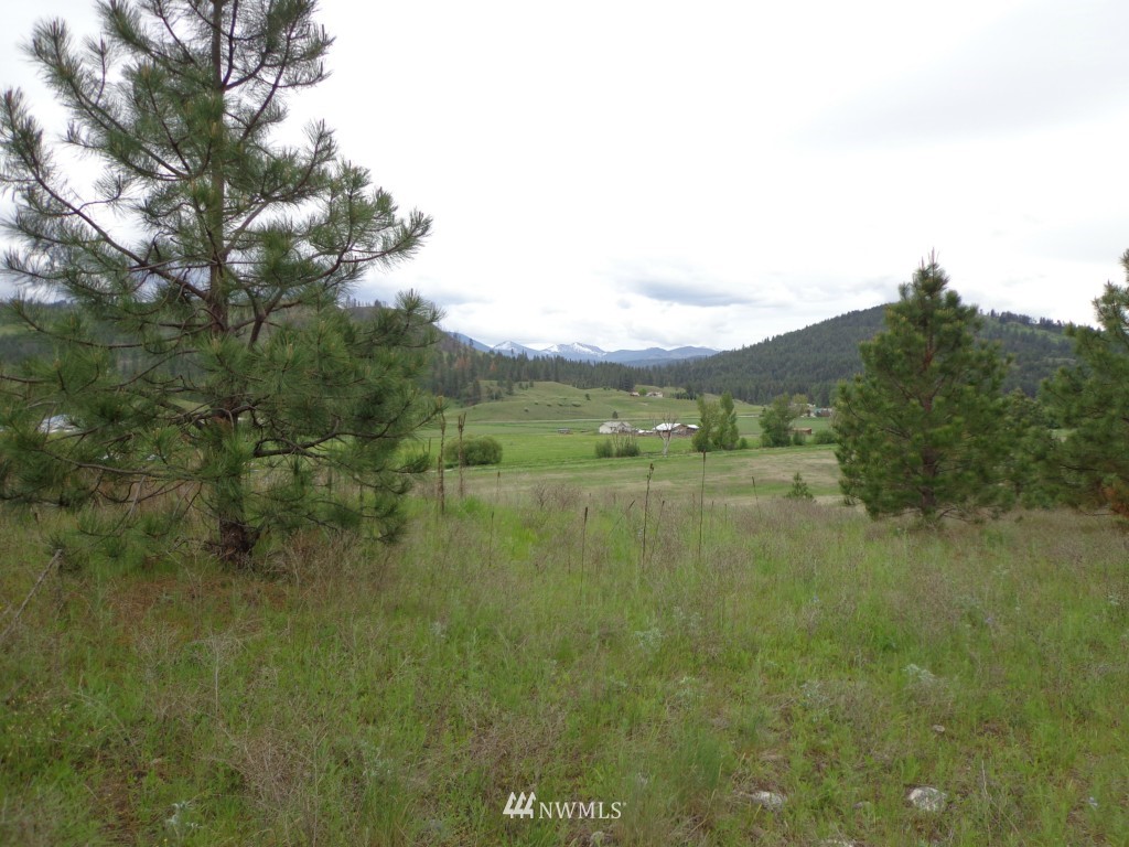 3 Herron Crk Road Republic, WA 99166 - Photo 3 of 8