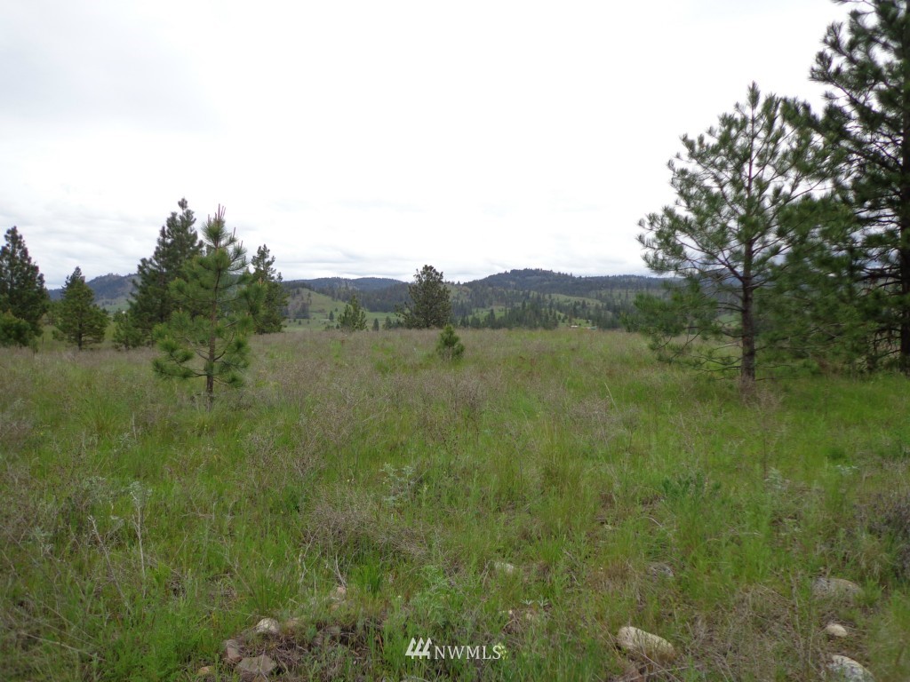3 Herron Crk Road Republic, WA 99166 - Photo 4 of 8