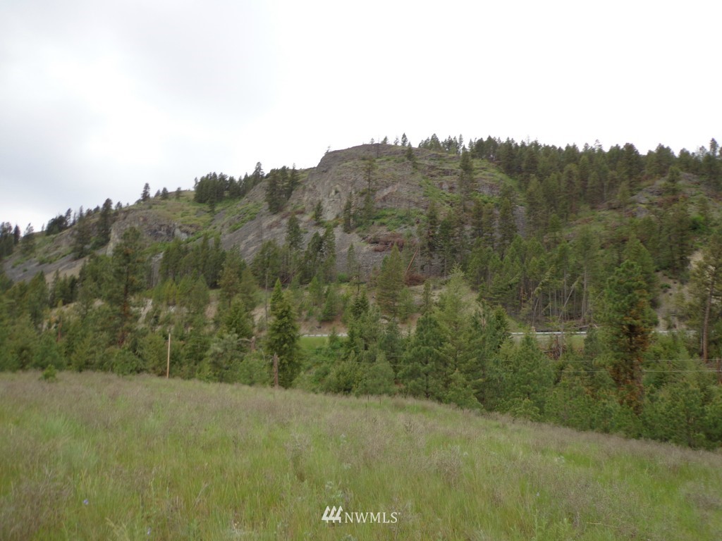 3 Herron Crk Road Republic, WA 99166 - Photo 6 of 8