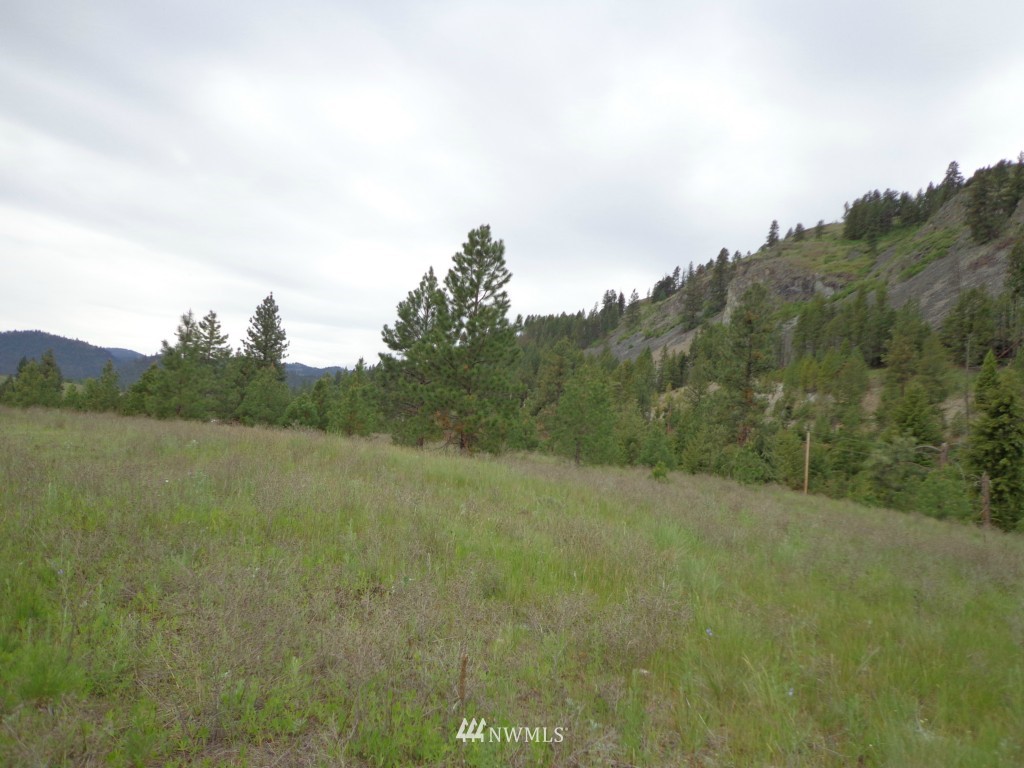 3 Herron Crk Road Republic, WA 99166 - Photo 7 of 8