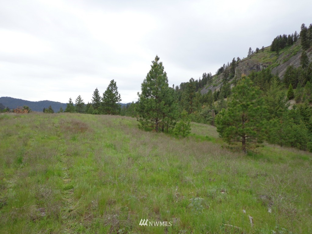 3 Herron Crk Road Republic, WA 99166 - Photo 8 of 8