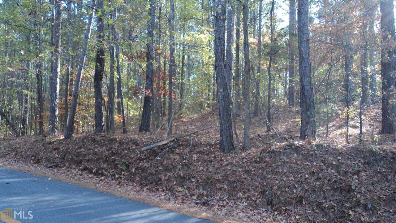 0 Morgan Road Ila, GA 30647 - Photo 1 of 1 Gallery Image 1